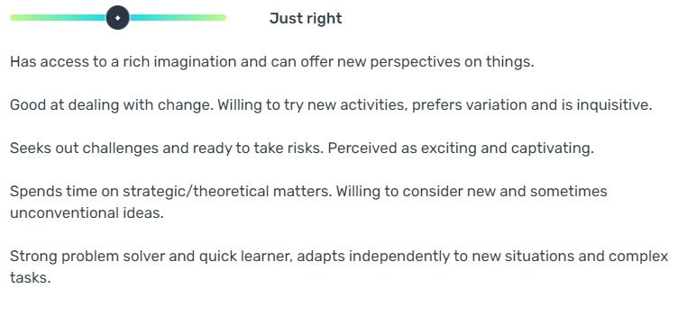 Strategic_Leadership_Just_Right.JPG